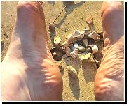 Sunday Service. 🔨✨ Side-on views of 12 hours of workshop grime. 6'4" of grit.​#FeetFinder #MaleSoles #DirtyFeet #Tradesman #SundayVibe from grime